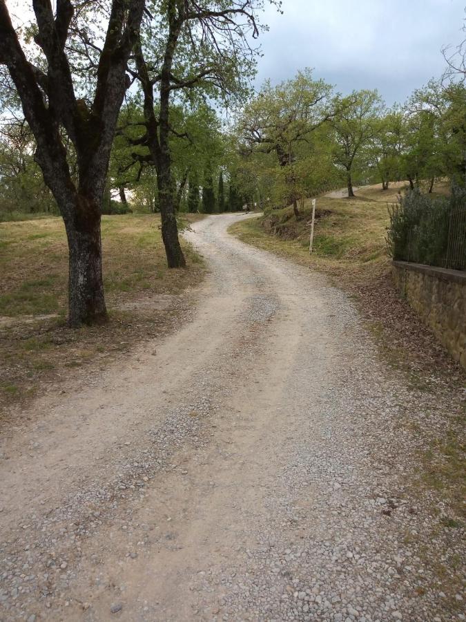 Agriturismo L'Incrociata Bucine Esterno foto